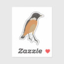 Search for warbler stickers Wildlife