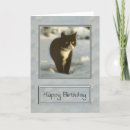 Search for black kitten birthday cards Cat