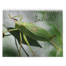 Search for insect calendars Bugs