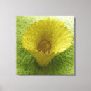 Search for electron micrography posters Life science
