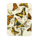 Search for wings rectangular magnets Flowers