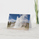 Search for james cards Usa