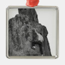 Search for climbing christmas tree decorations Outdoors