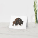 Search for bisons cards Grazing