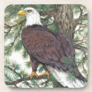 Search for eagle coasters America