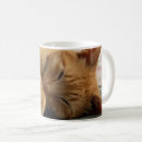 Search for sweet dreams mugs Cats