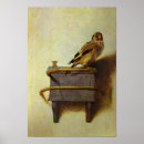 Search for bird watcher posters Book nerd