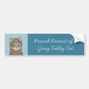Search for gray bumper stickers Tabby