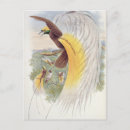 Search for plumed postcards 19th