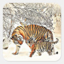 Search for cub Wildlife