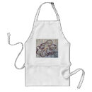 Search for octopus aprons Nature
