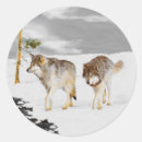 Search for wolves stickers Snow