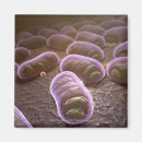 Search for microscope magnets People