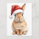 Search for rabbit christmas cards Fluffy