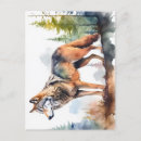 Search for watercolor wolf postcards Animal