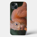 Search for case ipad cases Cute