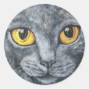 Search for gray cat stickers Cute