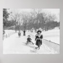 Search for central park winter posters Sledding