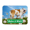 Search for dog magnets Joke