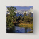 Search for creeks badges Chuck haney