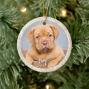 Search for sparkly christmas tree decorations Create your own