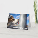 Search for a story christmas cards Dog