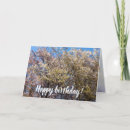 Search for cherry tree cards Japanese cherry blossom