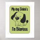 Search for hilarious posters Animal