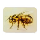 Search for hornet magnets Bee