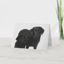 Search for black lab daddy cards Puppy