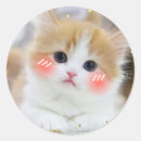 Search for kawaii kitten stickers Cat lover