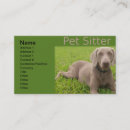Search for pet sitter Animals