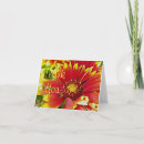 Search for red daisy cards Flora