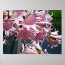 Search for beautiful easter posters Flowers