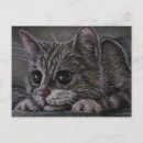 Search for kitten postcards Cute kitty