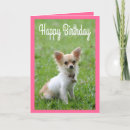 Search for chihuahua birthday cards Chewawa