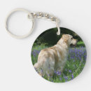 Search for retreivers key rings Bob and pam langrish