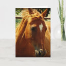 Search for geburtstag cards Horse