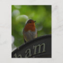 Search for red brown postcards Wildlife