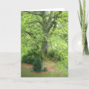 Search for big tree cards Green
