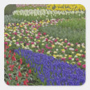 Search for landscape design stickers Pattern