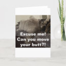 Search for cat moving cards Funny