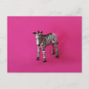 Search for zebra and pink postcards Birthday