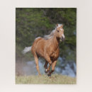Search for palomino horse puzzles Running