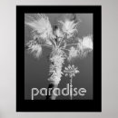 Search for black and white tropical posters Tropics