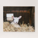 Search for lamb puzzles Animal