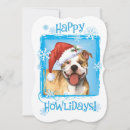 Search for pitbull cards Happy howlidays