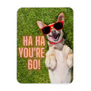 Search for 60th birthday magnets Humour