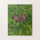 Search for pencil drawing puzzles Animal
