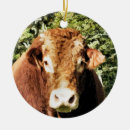 Search for farm christmas tree decorations Bull
